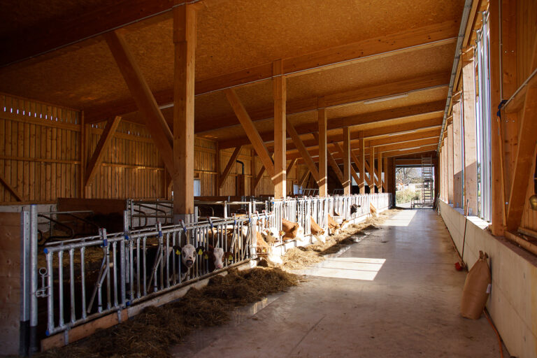 Innenaufnahme eines landwirtschaftlichen Wirtschaftsgebäudes.