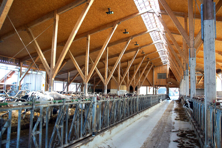 Innenaufnahme eines landwirtschaftlichen Wirtschaftsgebäudes.